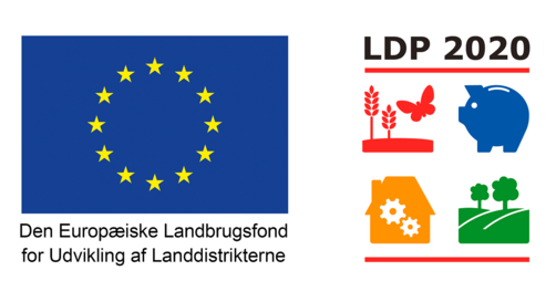 EU & LDP logo